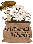 Les Champi's de Charlie